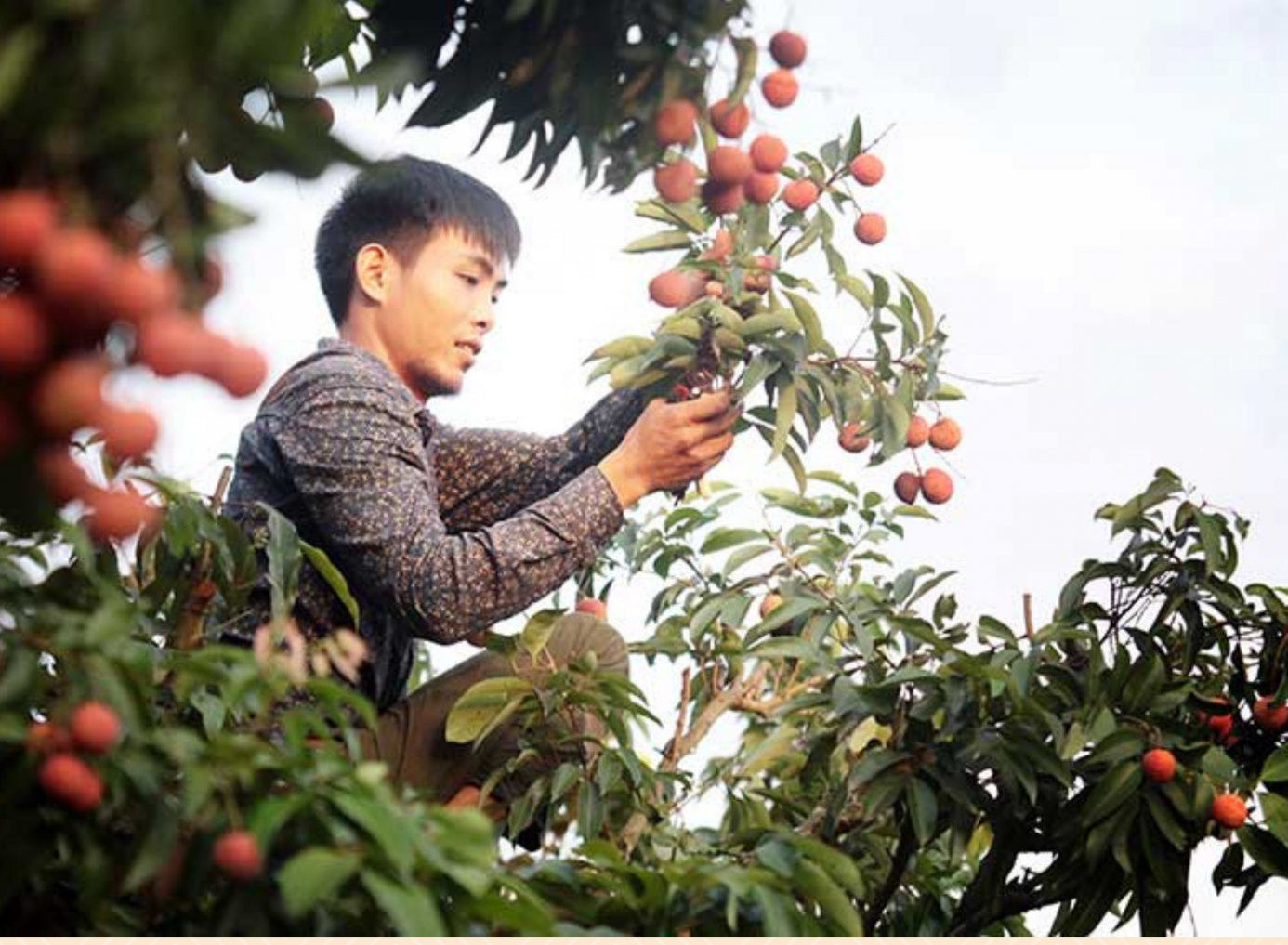 Công nhân bị đứt lìa tay có hoàn cảnh gia đình khó khăn