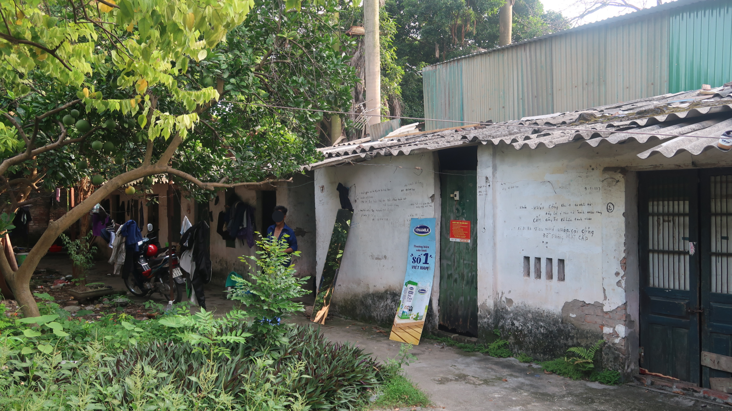 Công nhân thuê trọ trên... ruộng!