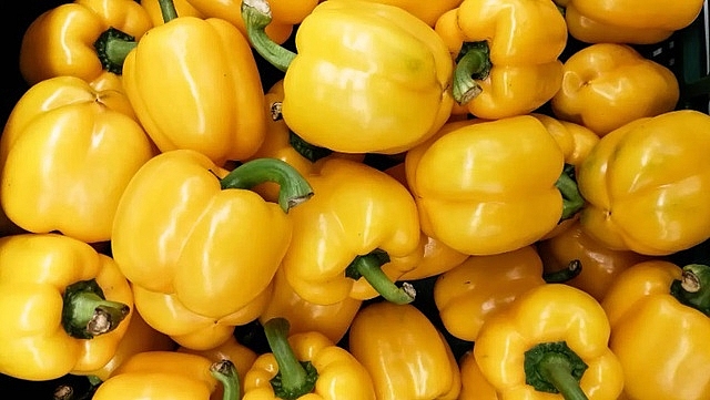 13 thực phẩm giúp cơ thể bạn sản sinh collagen cho da