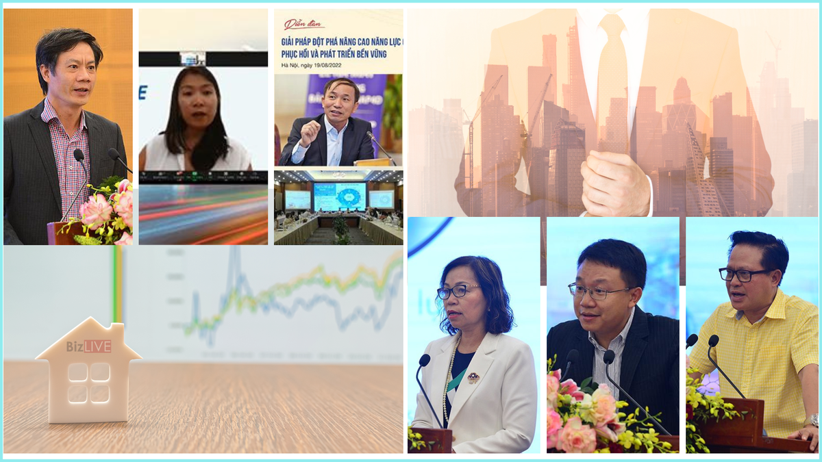 "Doanh nghiệp tư nhân sử dụng vốn lớn, vất vả nhưng lợi nhuận lại khiêm tốn"