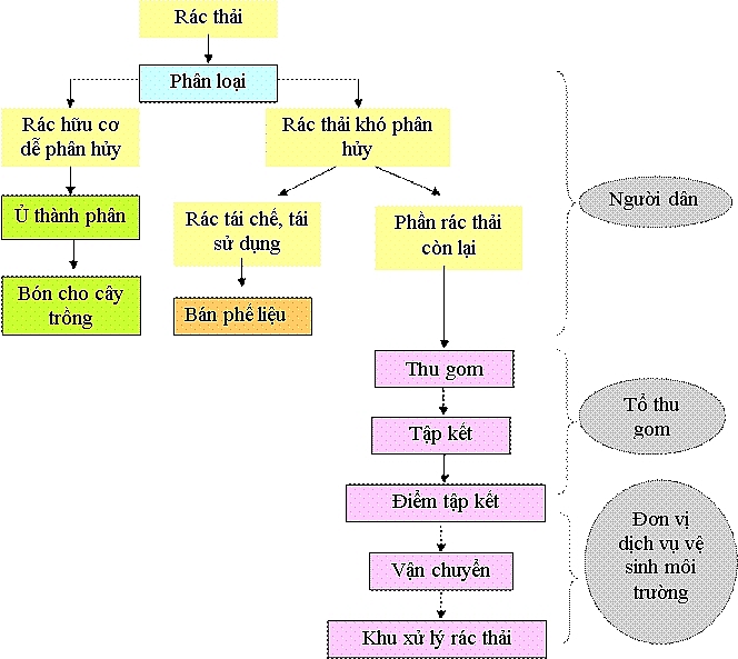 Không phân loại rác thải sẽ bị xử phạt