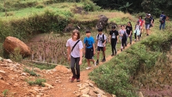 “Nghề… đi bộ”