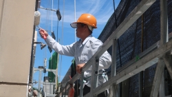 Cược mạng sống với nghề sơn tường nhà cao tầng ở Hà Nội