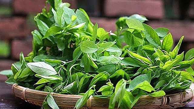 Rau ngót rất tốt nhưng có nên ăn hằng ngày không?