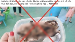 Hộp cơm thịt chuột: Tin giả, ẩn ức thật