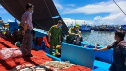 Thuyền viên tử vong do ngạt khí độc trong hầm chứa cá