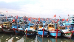 Tàu cá không dầu: an nguy không chỉ của ngư dân