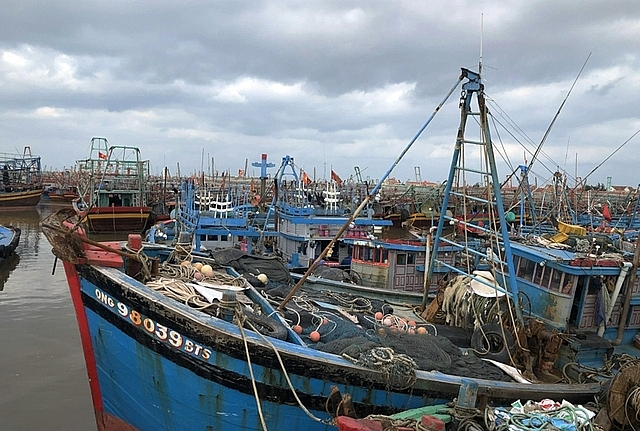 Cấm đường bộ, đường biển và hoàn tất di tản trước khi siêu bão Noru đổ bộ