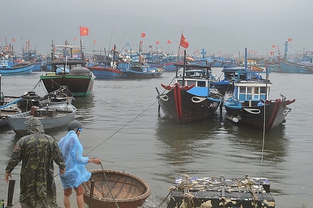 Cấm đường bộ, đường biển và hoàn tất di tản trước khi siêu bão Noru đổ bộ