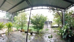 Bão Noru đổ bộ vào đất liền, gió giật kinh hoàng