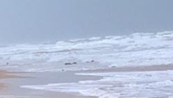 Ít nhất 7 thi thể được phát hiện trôi dạt vào bờ biển Phú Quốc