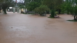 Đà Nẵng, Quảng Nam đóng cửa trường học, sơ tán dân vì mưa lũ