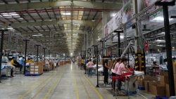 Đồng Nai: Nhu cầu tuyển dụng lao động tăng mạnh dịp cuối năm