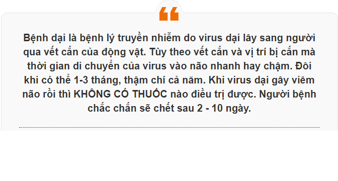 Một thợ xây tử vong vì bệnh dại sau khi giết mổ chó