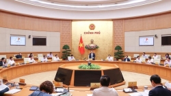 Thủ tướng: Xử lý nghiêm tổ chức, cá nhân tung tin giả, sai sự thật phá hoại nền kinh tế