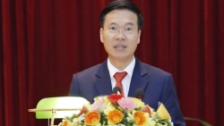 Ban Bí thư: Thống nhất một đầu mối bảo đảm an ninh, an toàn thực phẩm