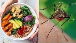 Chế độ ăn uống phù hợp với 3 giai đoạn của sốt xuất huyết giúp người bệnh mau phục hồi