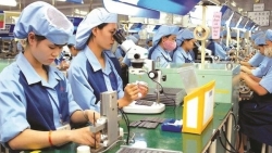 Tiêu chuẩn để công nhân, nông dân được tặng Bằng khen của Thủ tướng Chính phủ