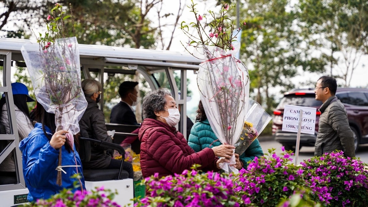 Dự báo thời tiết dịp tết Nguyên đán Quý Mão 2023