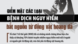 Điểm mặt các loại bệnh dịch nguy hiểm bắt nguồn từ động vật hoang dã