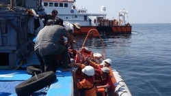 Một thuyền viên liệt toàn thân, bất tỉnh khi đang hành nghề tại vùng biển Đà Nẵng