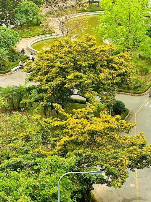 Đặc thù trong công tác ATVSLĐ tại Bệnh viện K  Trung ương