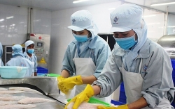 Hỗ trợ doanh nghiệp thích ứng, phục hồi nhanh, phát triển bền vững