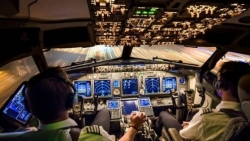 Xử lý vi phạm được căn cứ quy định của pháp luật lao động và đặc thù ngành nghề