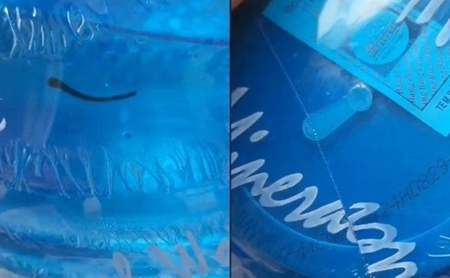 Phát hiện đỉa trong bình nước uống nguyên tem tại trường Mầm non