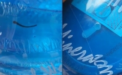 Phát hiện đỉa trong bình nước uống nguyên tem tại trường Mầm non