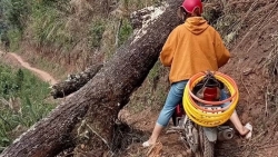 Tâm sự của cô giáo cắm bản: Mong muốn được quan tâm hơn nữa về điều kiện làm việc