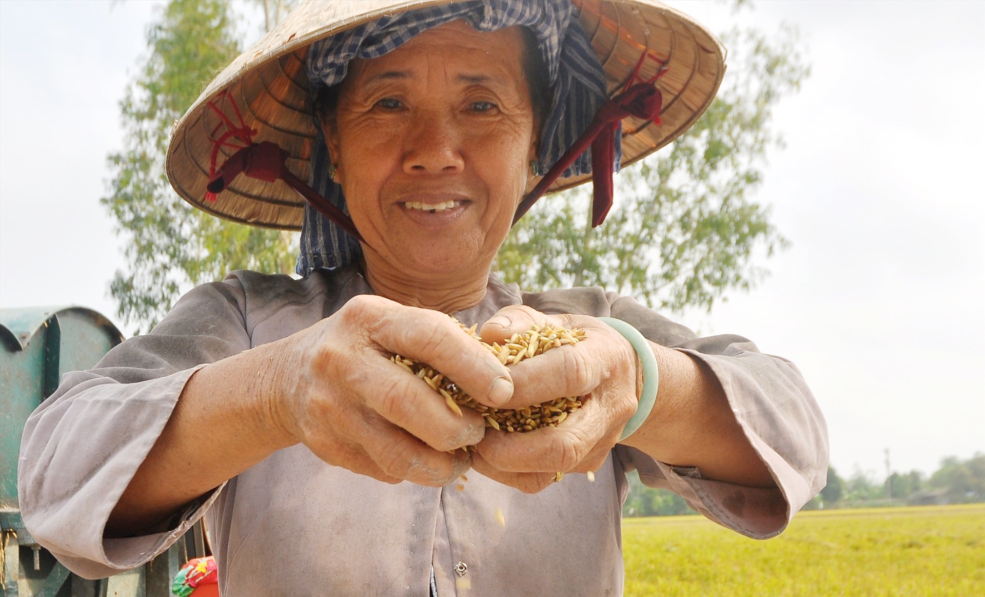 Biến đổi khí hậu ở đồng bằng Sông Cửu  Long: “Thích ứng” là chìa khóa để tồn tại