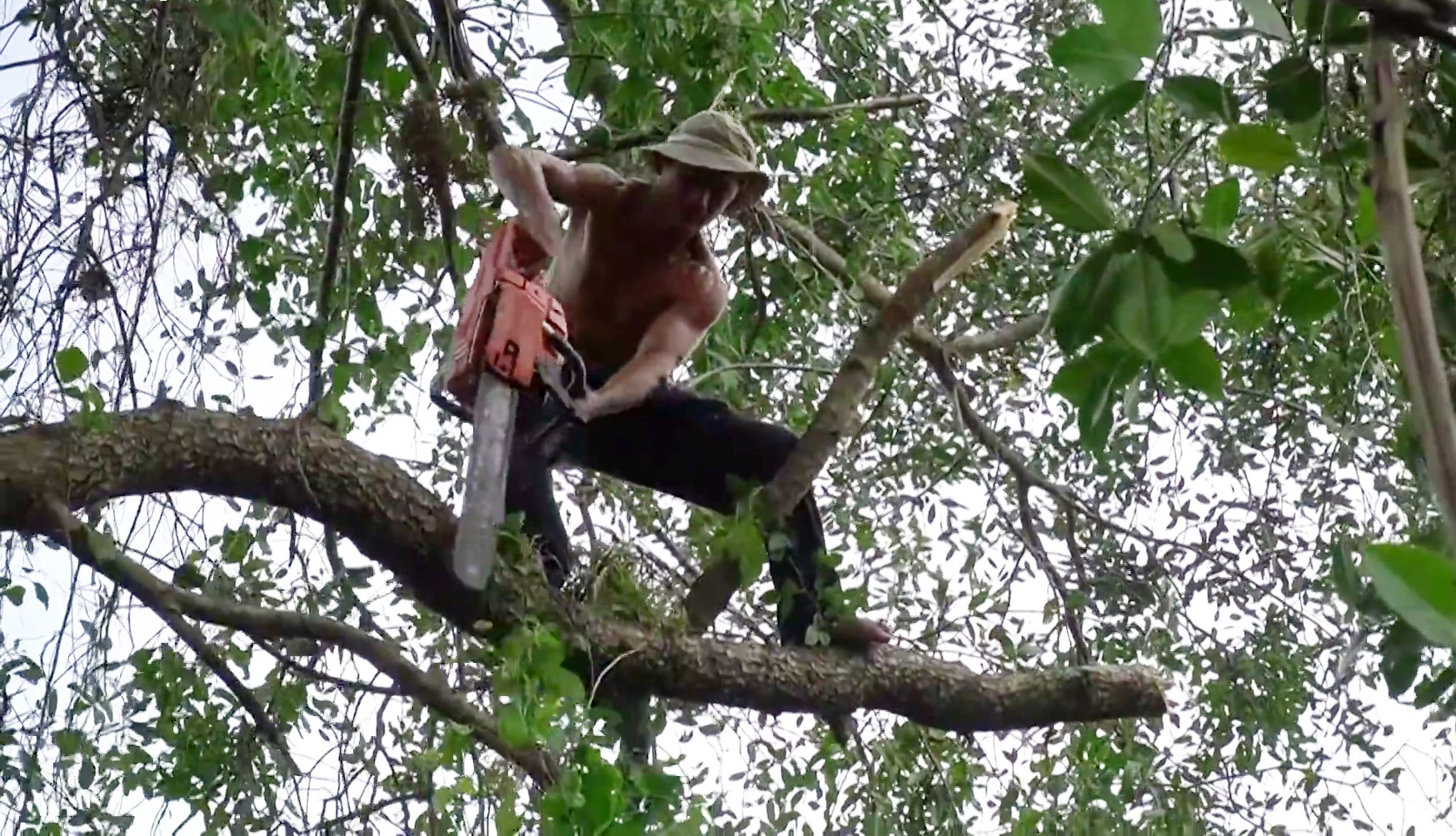 Gian nan phận nghề của những “vua khỉ” ở miền Tây