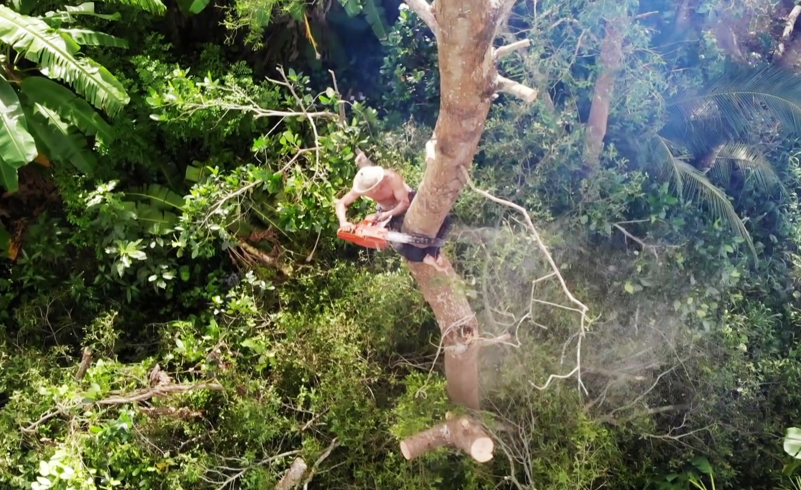 Gian nan phận nghề của những “vua khỉ” ở miền Tây