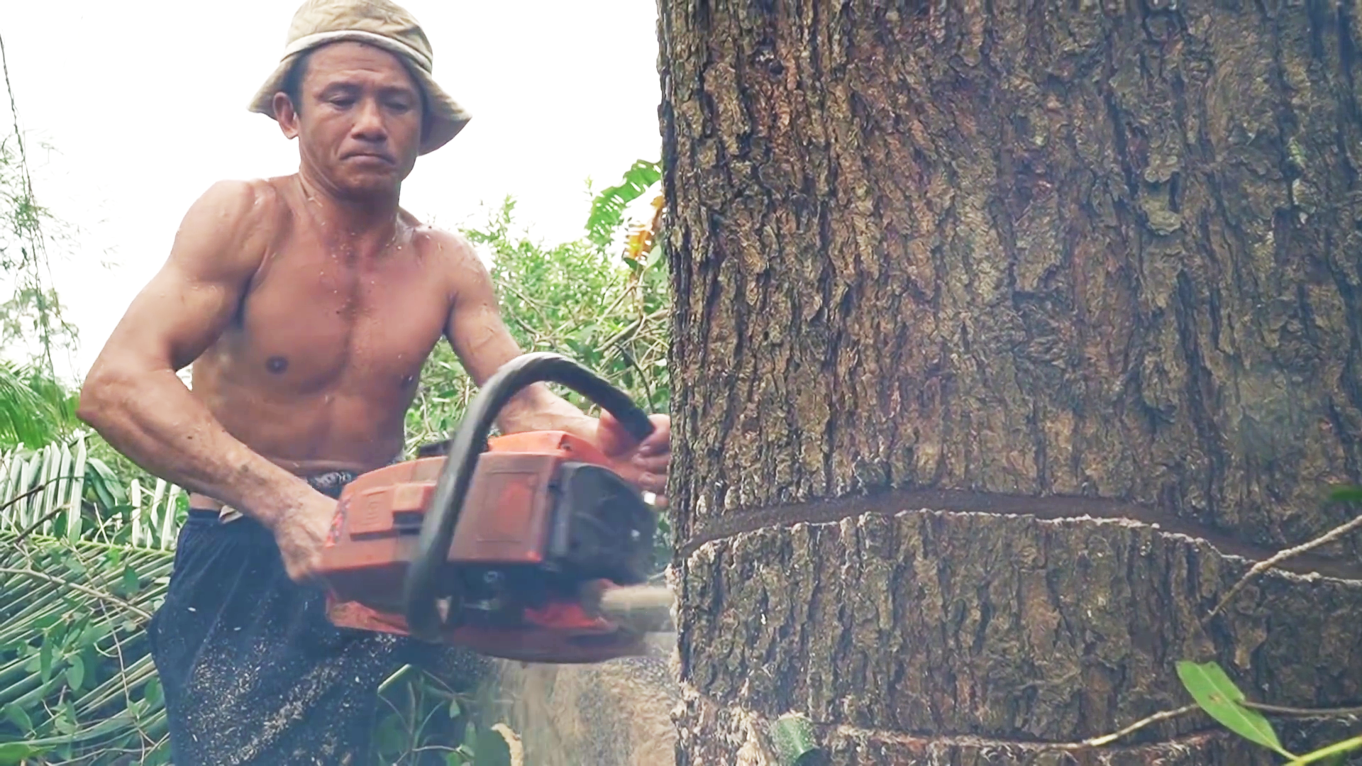 Gian nan phận nghề của những “vua khỉ” ở miền Tây