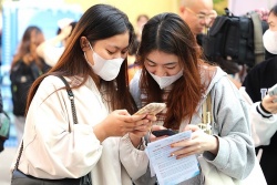 Cảnh báo lừa đảo mua vé máy bay giá rẻ, nhận quà trúng thưởng dịp Tết Nguyên đán