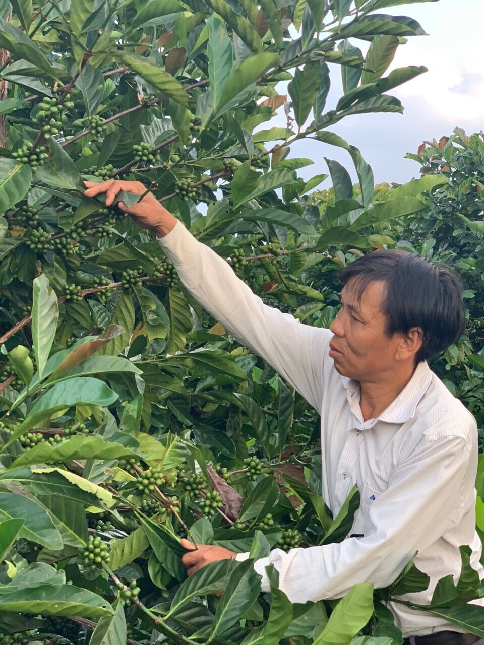 Công đoàn Việt Nam đặc biệt coi trọng công tác an toàn, vệ sinh lao động