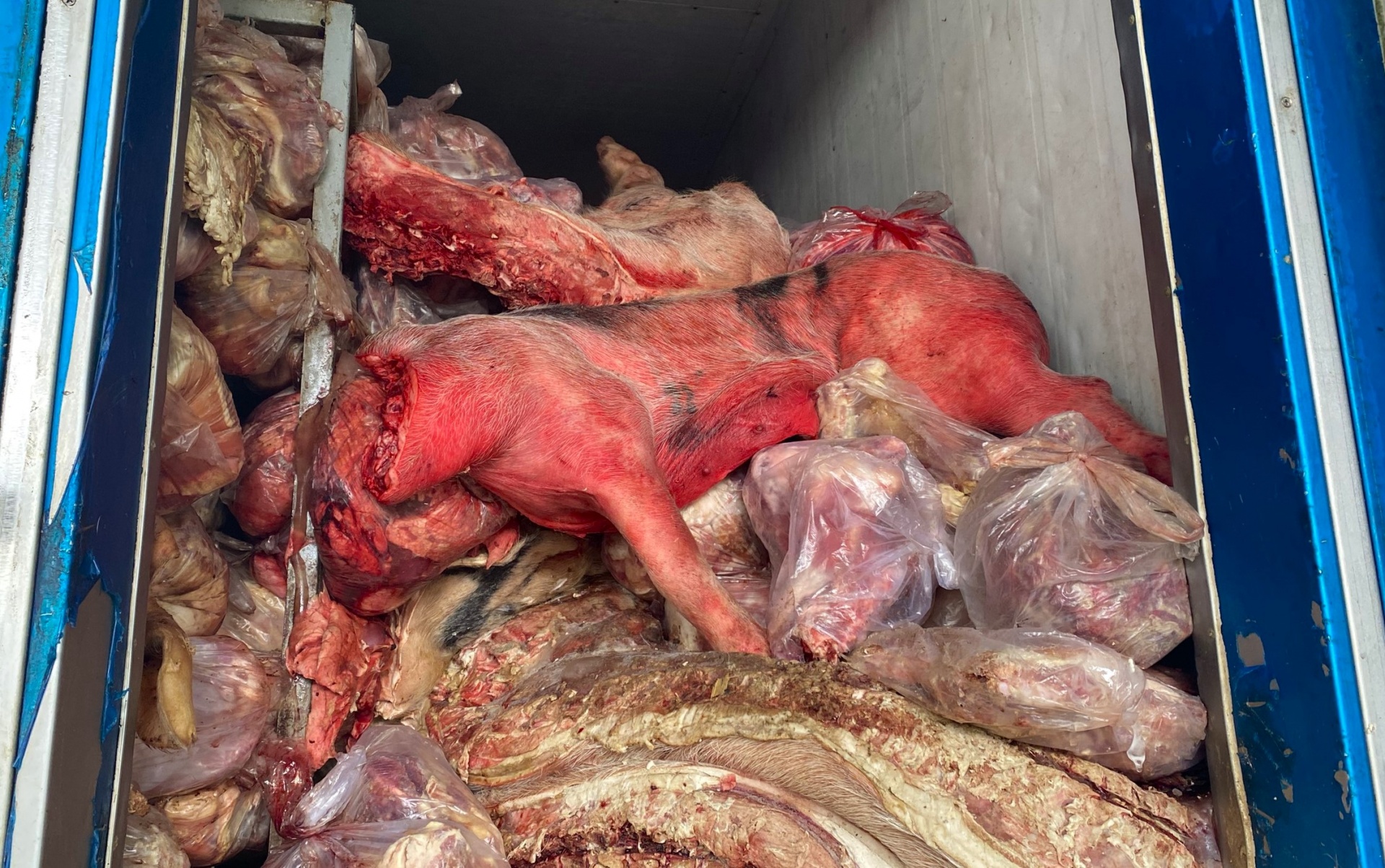 Kinh hãi mức nhiễm khuẩn vượt 60 lần từ 3 tấn thịt bẩn bị bắt ở Huế