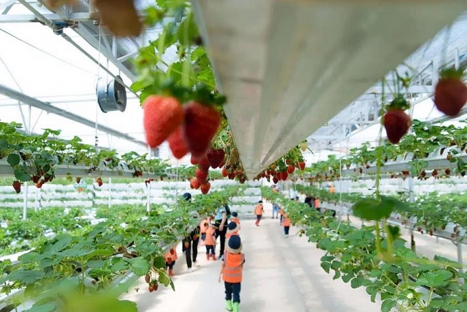 Kinh tế xanh, kinh tế tuần hoàn và công tác an toàn, vệ sinh lao động Kinh tế xanh, kinh tế tuần hoàn và công tác an toàn, vệ sinh lao động