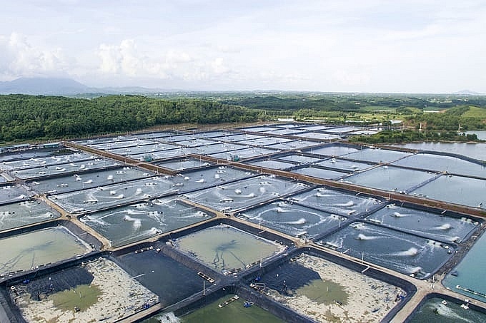 Kinh tế xanh, kinh tế tuần hoàn và công tác an toàn, vệ sinh lao động Kinh tế xanh, kinh tế tuần hoàn và công tác an toàn, vệ sinh lao động