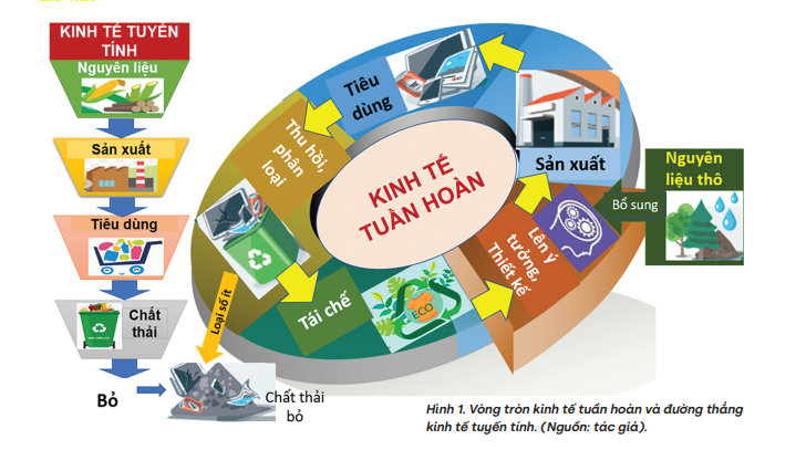 Kinh tế xanh, kinh tế tuần hoàn và công tác an toàn, vệ sinh lao động Kinh tế xanh, kinh tế tuần hoàn và công tác an toàn, vệ sinh lao động