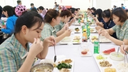 Nguyên tắc xây dựng thực đơn và tiêu chí của bữa ăn ca