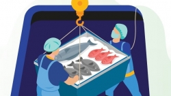 Người lao động cần lưu ý gì để đảm bảo an toàn khi làm việc trên tàu cá?