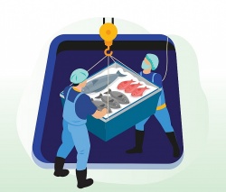 Người lao động cần lưu ý gì để đảm bảo an toàn khi làm việc trên tàu cá?