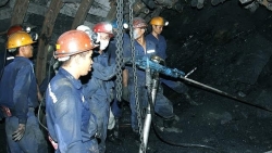 Thủ tướng Chính phủ yêu cầu chấn chỉnh, tăng cường công tác an toàn, vệ sinh lao động