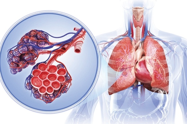 Biến đổi khí hậu và những hệ lụy nhãn tiền đối với sức khỏe người lao động