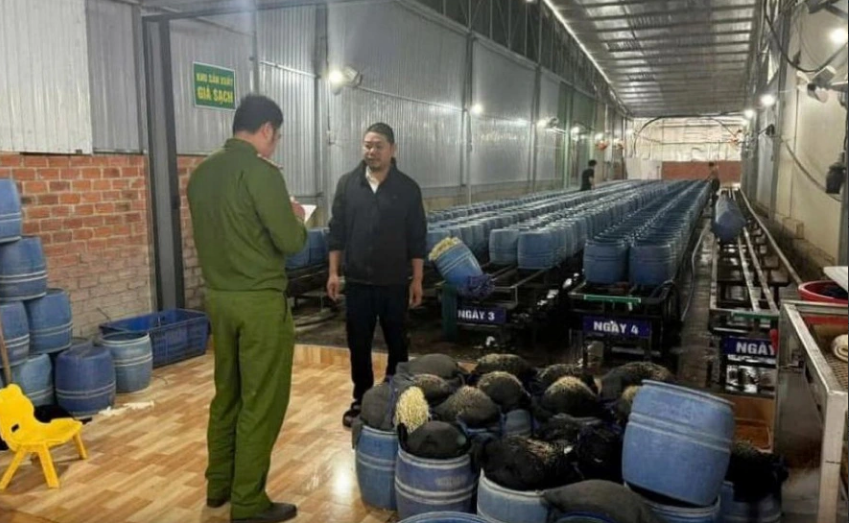 Giá đỗ ngâm hóa chất không thể khử độc dù nấu chín!