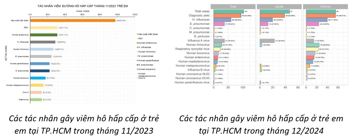 Virus HMPV đã được ghi nhận tại Thành phố Hồ Chí Minh trong các năm 2023 và 2024