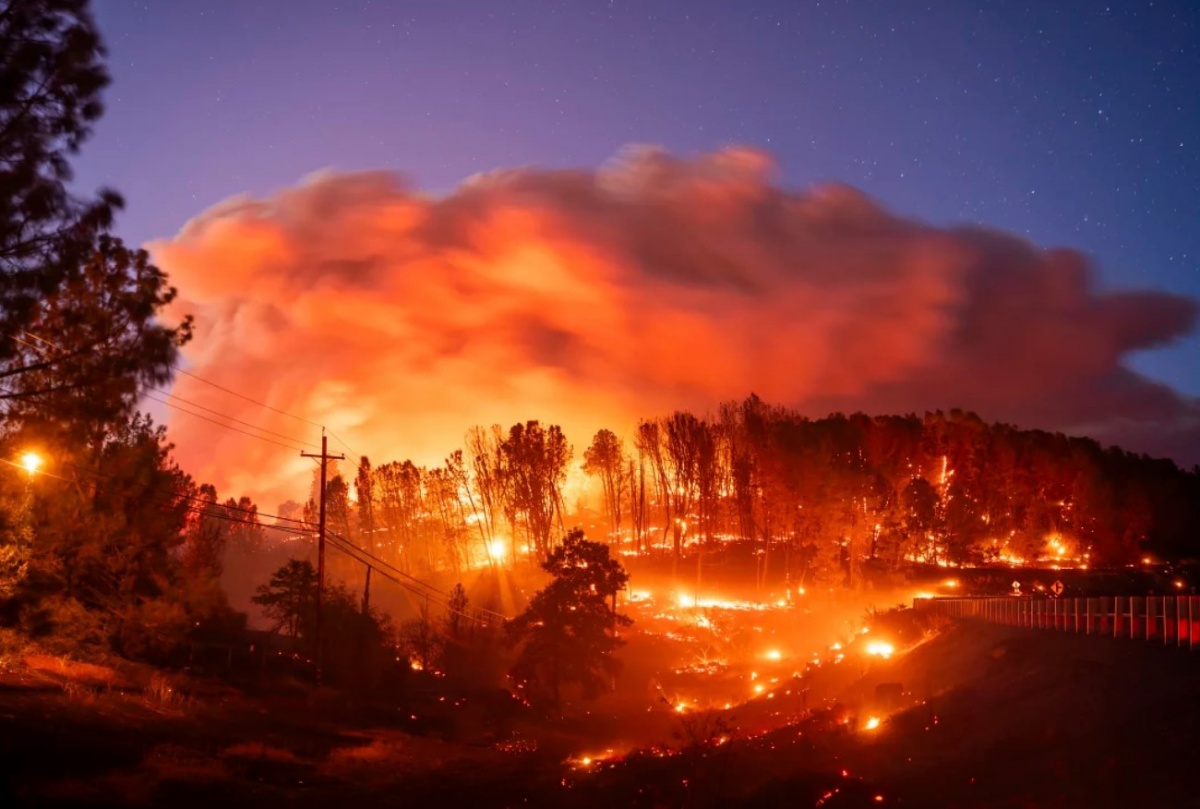 Từ thảm họa cháy rừng tại California: Cách nhận biết người bị ngạt khói và biện pháp xử trí