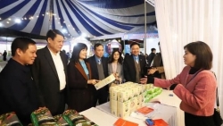 "Chợ Tết Công đoàn 2025" tại Phú Thọ: Sản phẩm an toàn - Quà Tết ý nghĩa cho người lao động